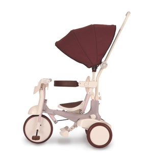 iimo 3-in-1 Foldable Tricycle with Canopy