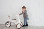 iimo 3-in-1 Foldable Tricycle with Canopy