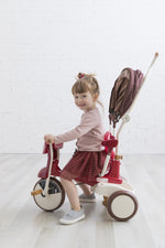 iimo ss tricycle #2 with canopy foldable eternity red